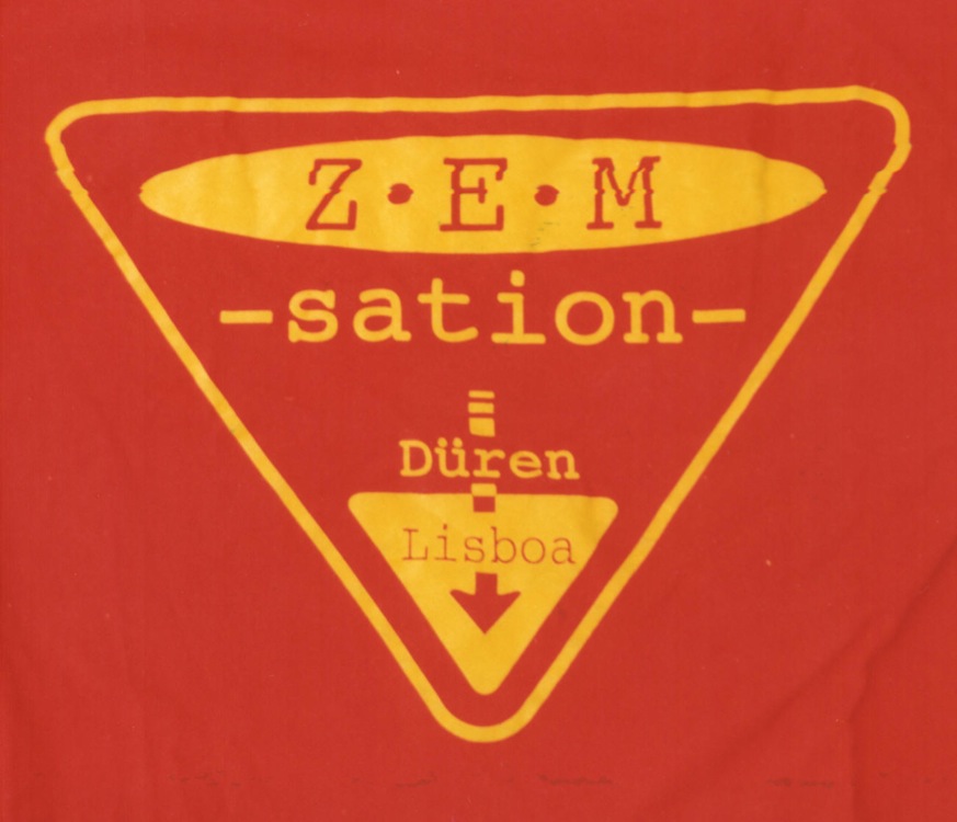Z_ZEMSATION